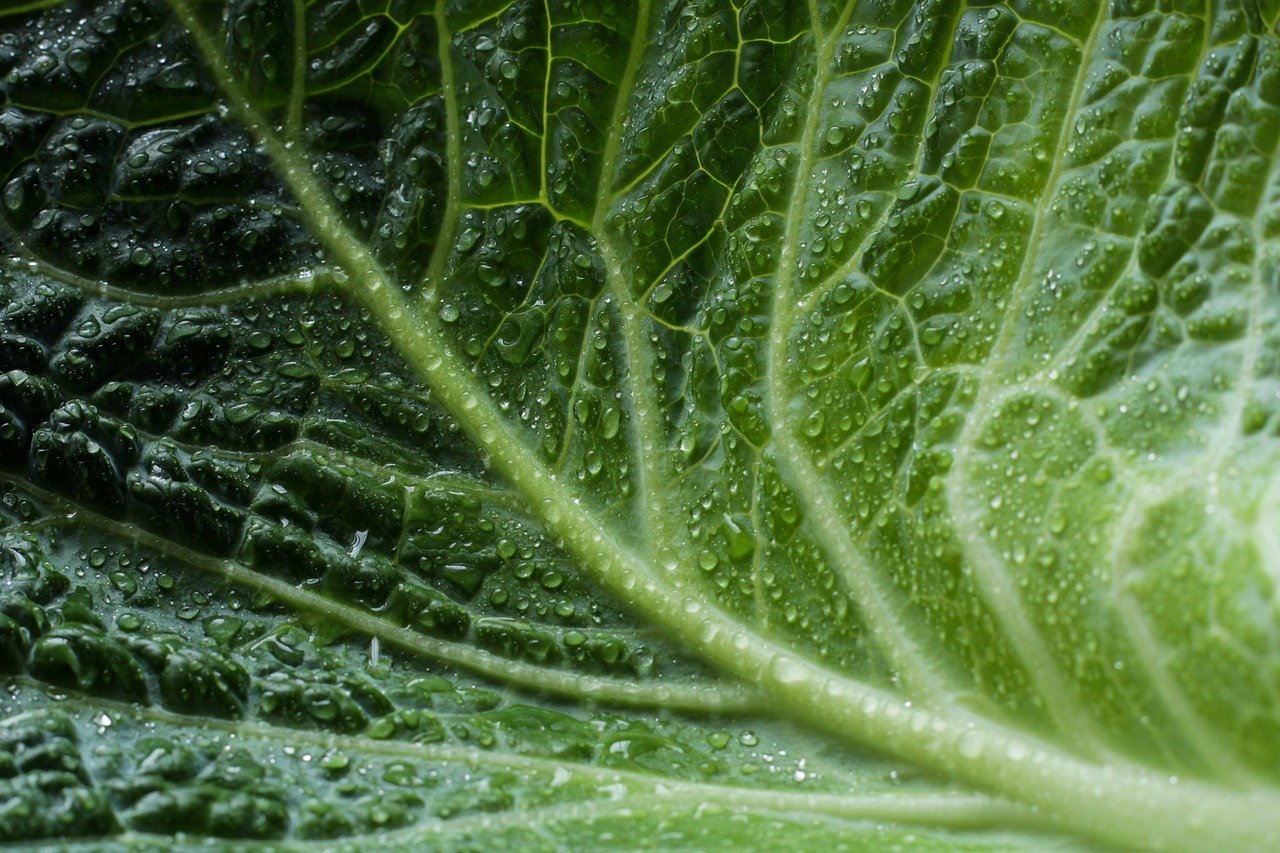 The Benefits of Using Green Apps